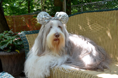 Tegan, a Disney Princess in her silver mouse ears